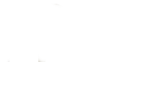 PPS – Paper Pallet Solutions